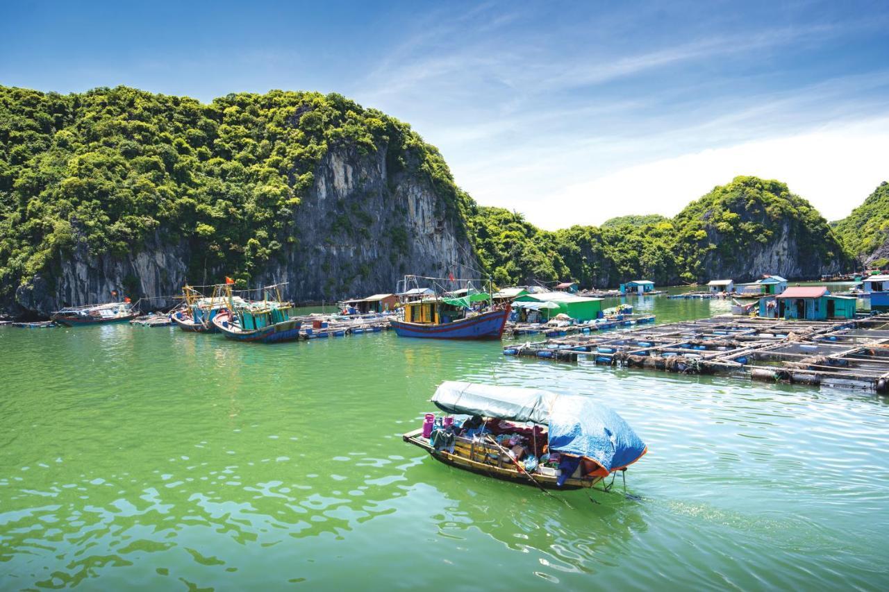Hotel Sena Cruises - Wonder On Lan Ha Bay Ha Long Exterior foto